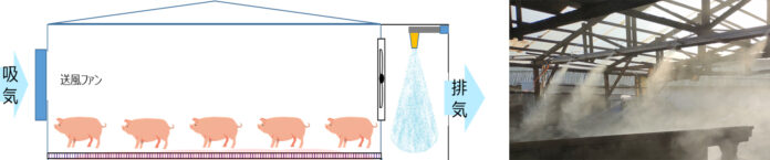 畜産業の悪臭対策として静岡県との実証実験により開発した“畜産向け次亜塩素酸水噴霧システム”の提供開始のメイン画像