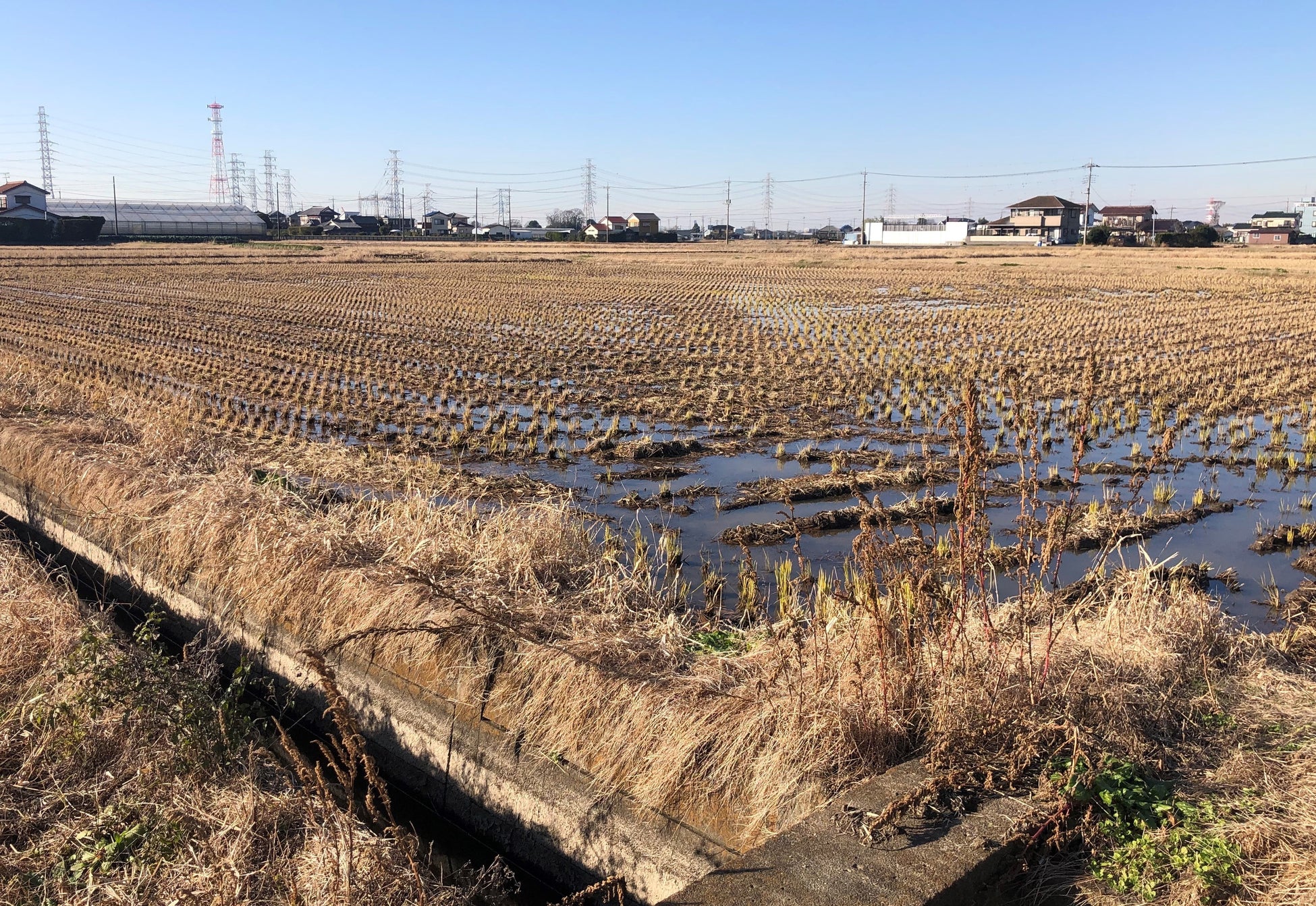 埼玉県吉川市・農業パーク構想にコンサルタントとして参画のサブ画像1_最大120haの広大な農地を開発