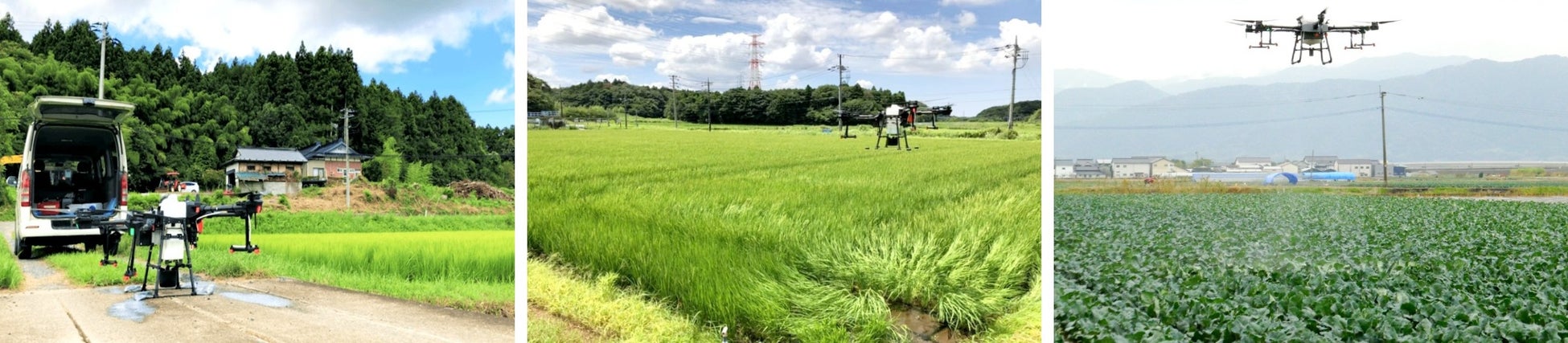 農業ドローンビジネス参入に欠かせないノウハウがわかる無料セミナー＆実演会を8月5日（金）に神奈川県足柄郡で開催のサブ画像2_ドローン農薬散布のイメージ