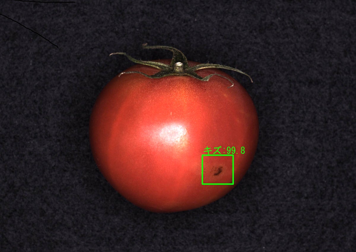 手作業から解放。選別作業を自動化して農家を手助けします。農業種を対象にAI画像検査のサンプル募集を開始。のサブ画像5