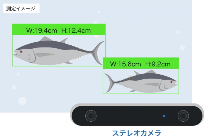 IT導入補助金2022対象ITツールに、魚体サイズ算出装置「魚体サイズ測定カメラ」が採択されましたのサブ画像1