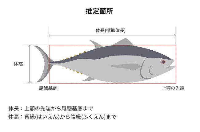 IT導入補助金2022対象ITツールに、魚体サイズ算出装置「魚体サイズ測定カメラ」が採択されましたのサブ画像2