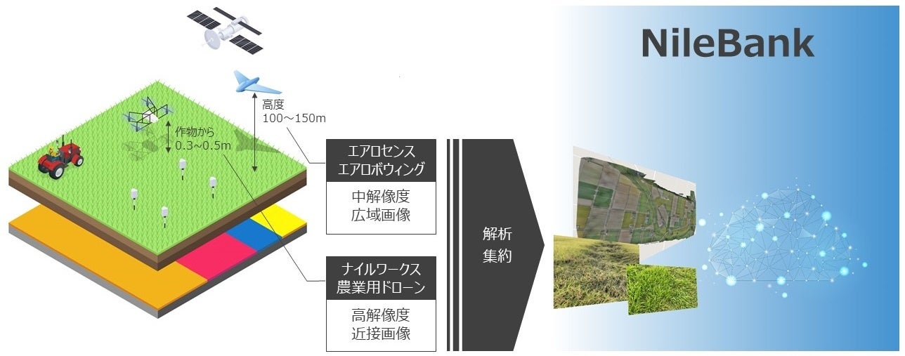 エアロセンスとナイルワークスが、データ駆動型の農業に関する業務提携のサブ画像4_図３　エアロセンスとナイルワークスの提携による、農業におけるセンシングデータ利活用のソリューション開発のイメージ