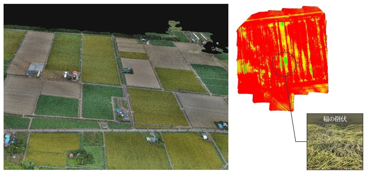 エアロセンスとナイルワークスが、データ駆動型の農業に関する業務提携のサブ画像5_図４　水稲の作況、倒伏などの識別の取り組み