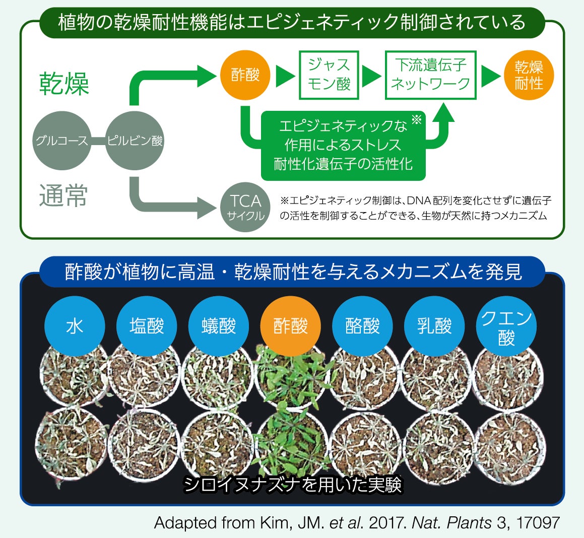 アクプランタ株式会社、プレシリーズAラウンドにおいて累計2.3億円の資金調達を実施のサブ画像3