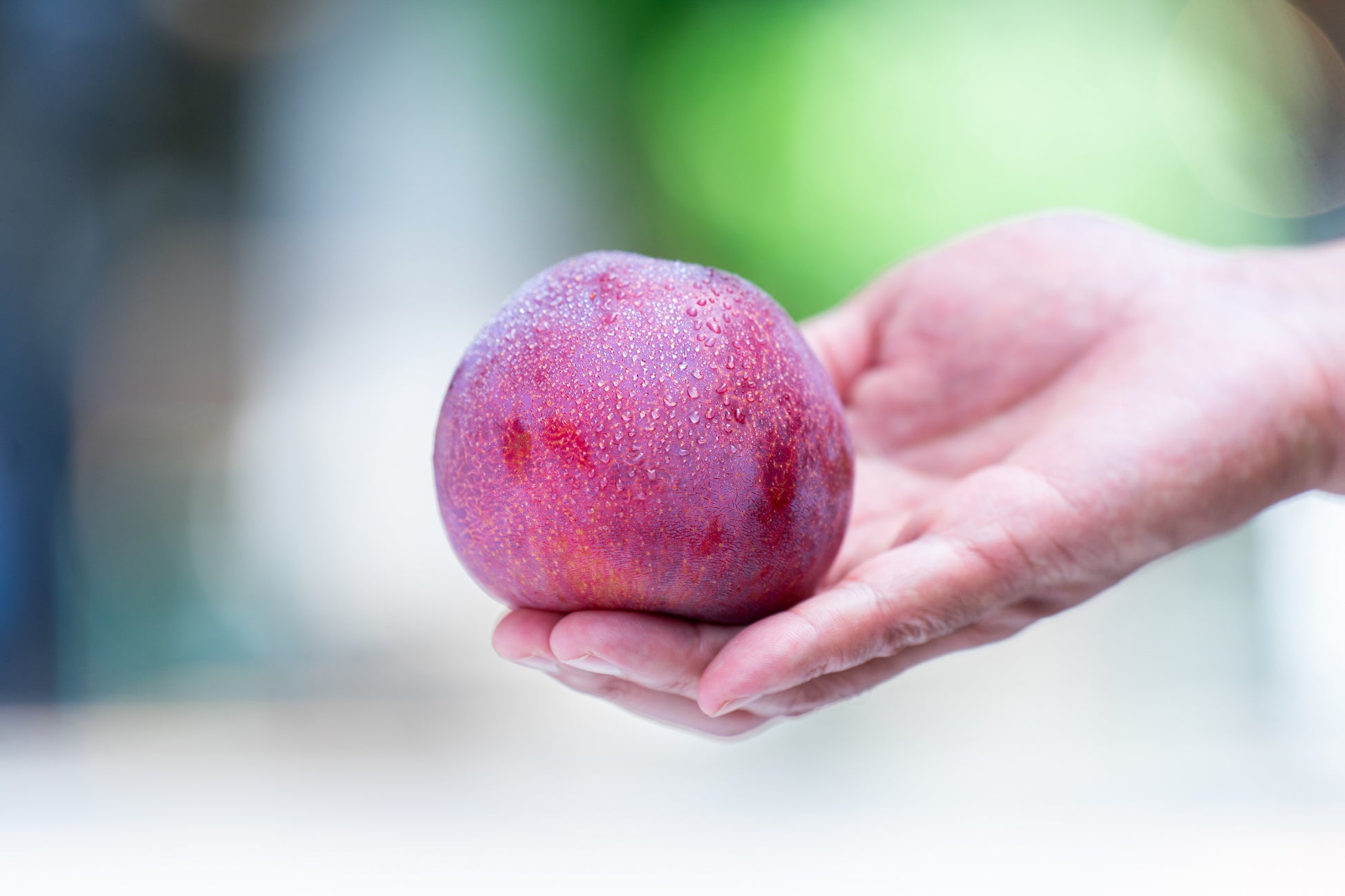 地域の「美味しいのに、知られていない」極完熟の果物を届ける『F STANDプロジェクト』は山梨県南アルプス市の”すももと桃のフェア”開催のサブ画像8