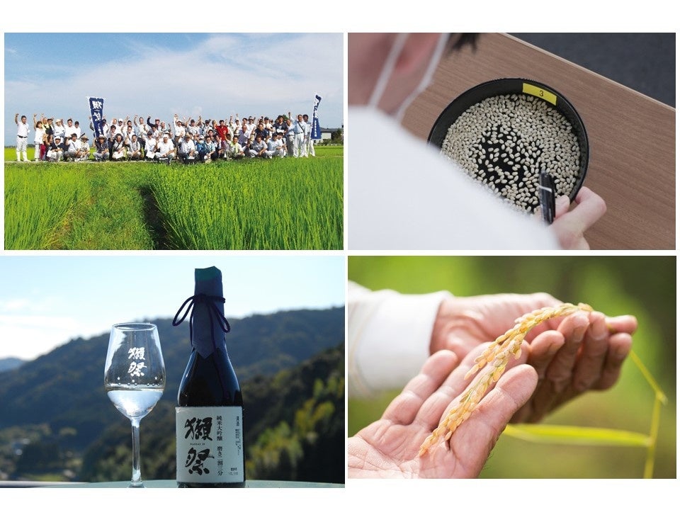 より高品質な獺祭と生産者の未来のため、獺祭は酒米”山田錦”の独自検査を開始しますのサブ画像1