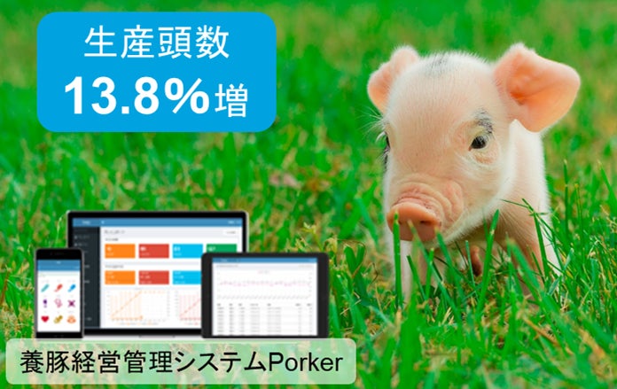 Eco-Porkが参画する農水省スマート農業実証プロジェクト「データ活用型スマート養豚モデルの実証」事業が完了し、生産性13.8％向上の成果を達成のサブ画像1