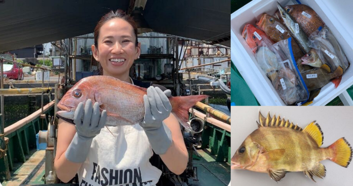 瀬戸内で捕れる天然鮮魚の魅力を全国へライブ配信　産直アウルと愛媛県今治市の漁師 EBISU☆FISHERYが7月19日（火）12時にインスタライブを開催のメイン画像