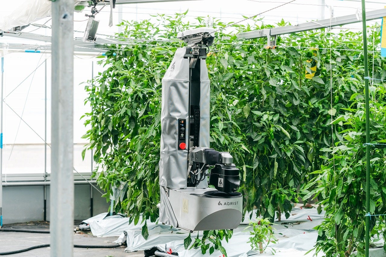 最新のピーマン自動収穫ロボットが東京上陸！　日本最大級の施設園芸展示会『施設園芸・植物工場展 GPEC』へ出展のサブ画像3