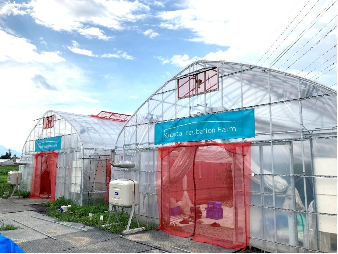 AI潅水施肥システムのゼロアグリ、Kubota Incubation Farmのトマト養液栽培スマート実証に参画のサブ画像2_クボタインキュベーションファームに設置しているゼロアグリ