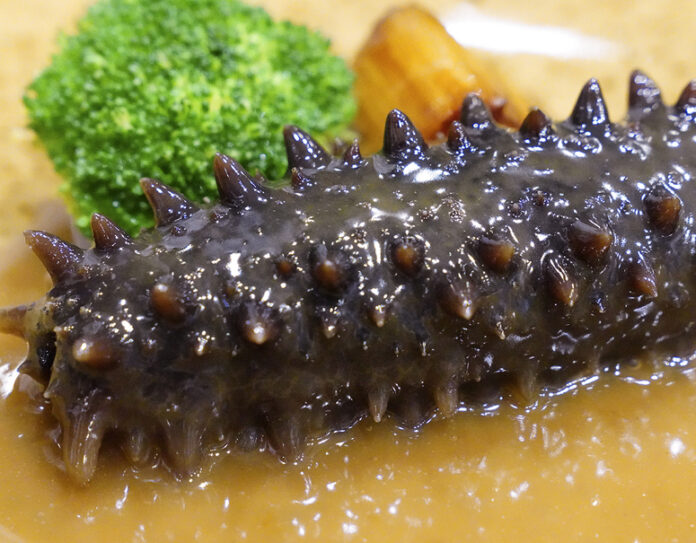GI産品である北海道ひやま漁協の「檜山海参 ヒヤマハイシェン」ECサイトでの取り扱いを開始。中国料理の四大海味のひとつ、乾しナマコは輸出で人気がある品です。のメイン画像
