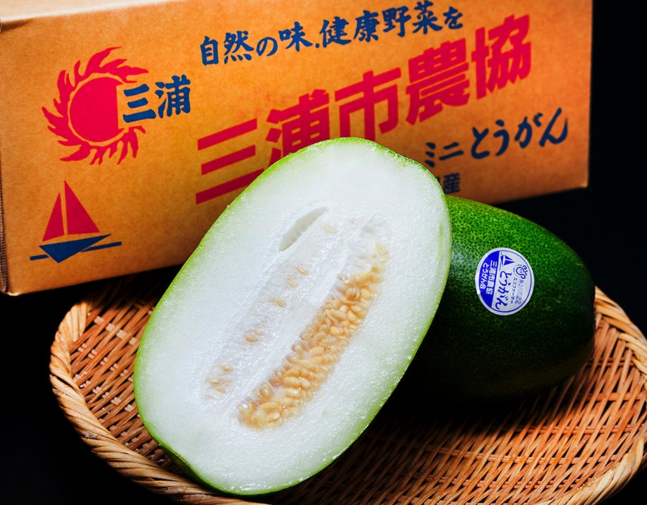 「冬瓜の消費拡大キャンペーン」を豊洲市場ドットコムで開催。産地箱や大玉のトウガンが手頃な価格で手に入ります。のサブ画像1