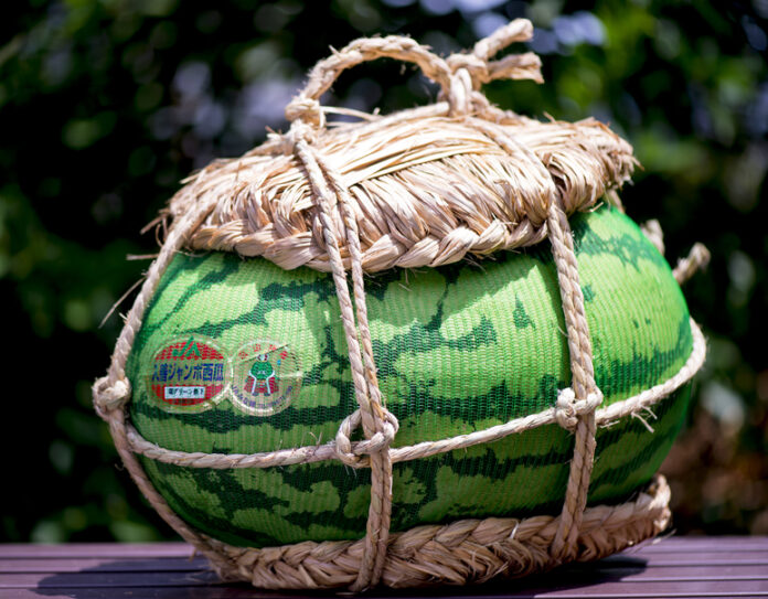 GI産品である富山県みな穂農業協同組合「入善ジャンボ西瓜」の取り扱いを開始。一玉18キロ以上の特大スイカをお取り寄せできます。のメイン画像