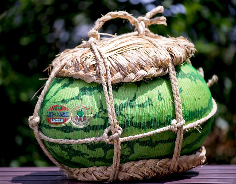 GI産品である富山県みな穂農業協同組合「入善ジャンボ西瓜」の取り扱いを開始。一玉18キロ以上の特大スイカをお取り寄せできます。のサブ画像1