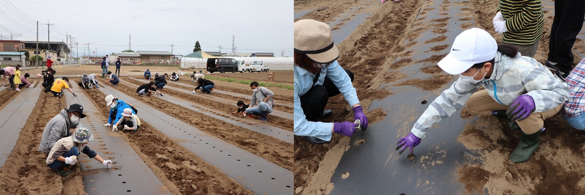 7月16日(土)伊勢崎で枝豆収穫体験のサブ画像1_4月の種まき体験