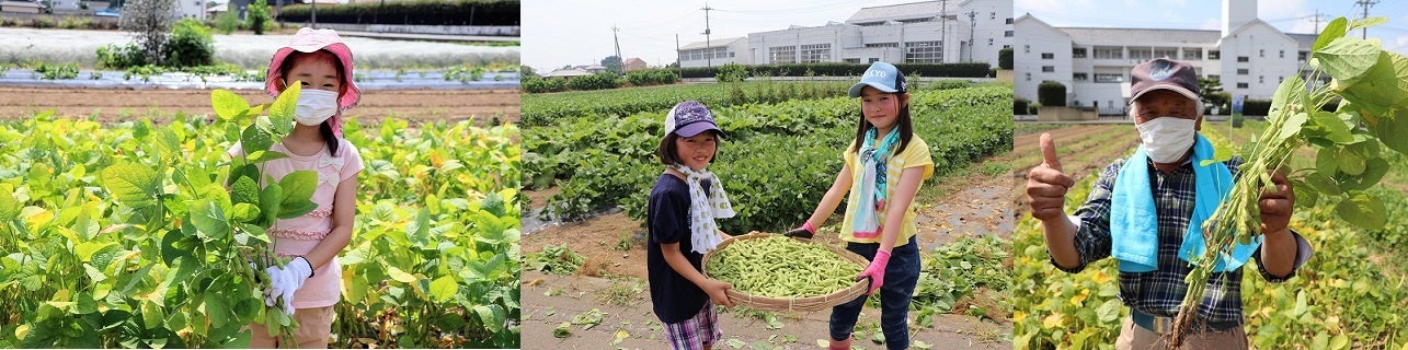 7月16日(土)伊勢崎で枝豆収穫体験のサブ画像2_過去の収穫体験会
