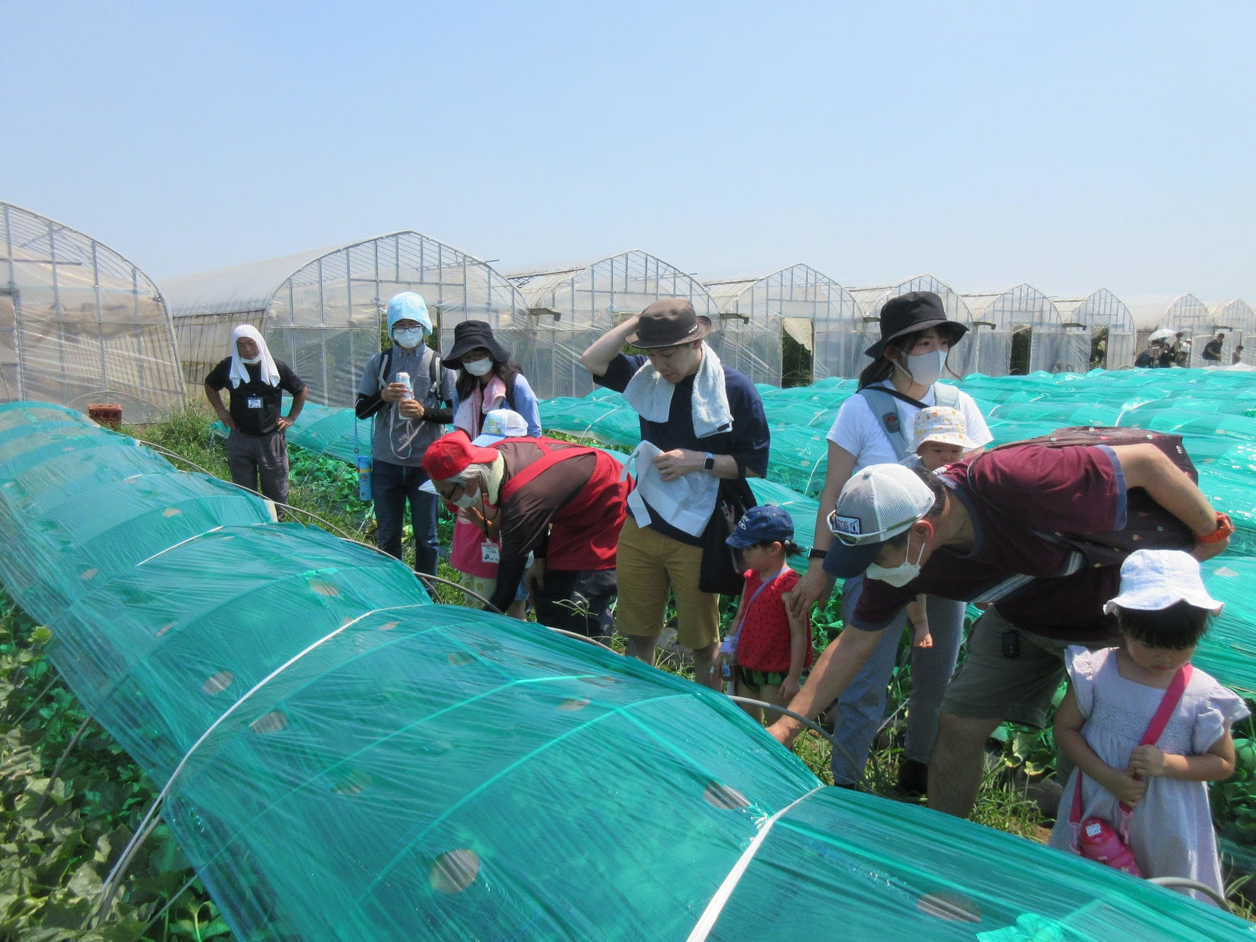 〔茨城 栃木〕コロナ禍も肥料高騰も産地交流で”超えてく“のサブ画像2_生産者との圃場での交流