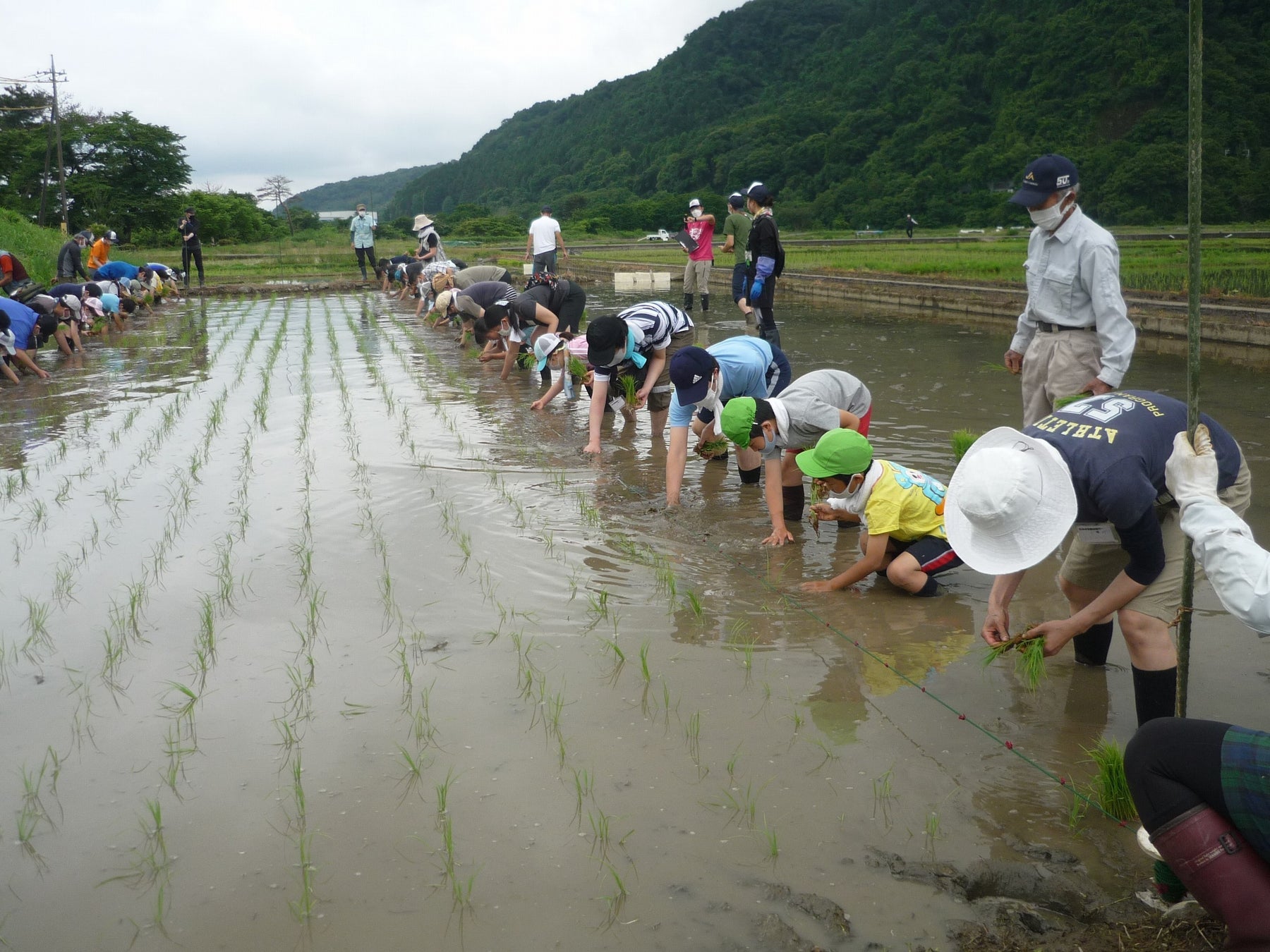 【相模原市】子どもたちが田植えなどを通じて農業に触れて学べるイベントを開催しましたのサブ画像1_田植えの様子