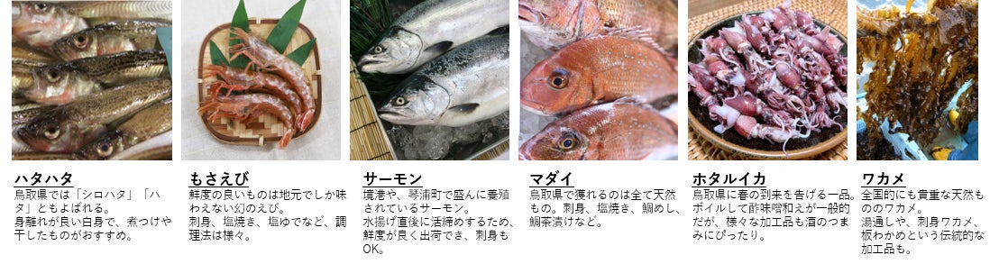 鳥取県、日本最多の20種を県魚に指定！魚のプロが選ぶ季節ごとの魚を「四季の県魚」にのサブ画像3