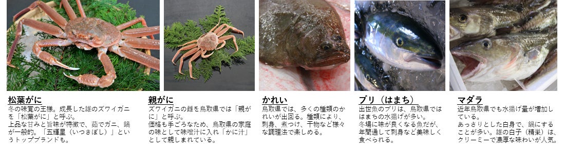 鳥取県、日本最多の20種を県魚に指定！魚のプロが選ぶ季節ごとの魚を「四季の県魚」にのサブ画像6