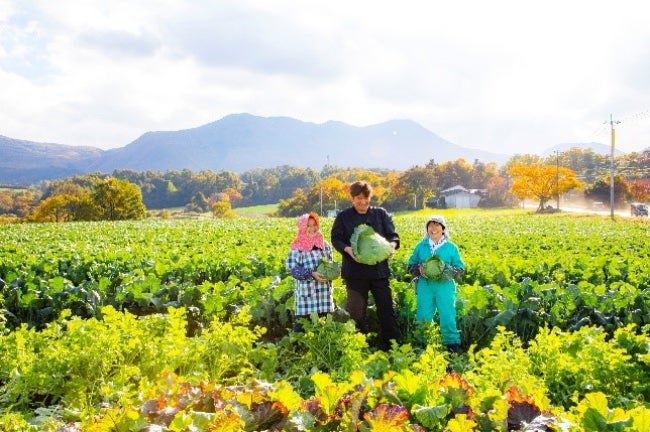 夏秋キャベツの収穫量日本一 嬬恋高原キャベツの収穫が始まりました　休暇村嬬恋鹿沢では、「白樺マルシェ」がオープンしますのサブ画像10_料理長自ら農家の畑に出向き、新鮮な野菜を仕入れています