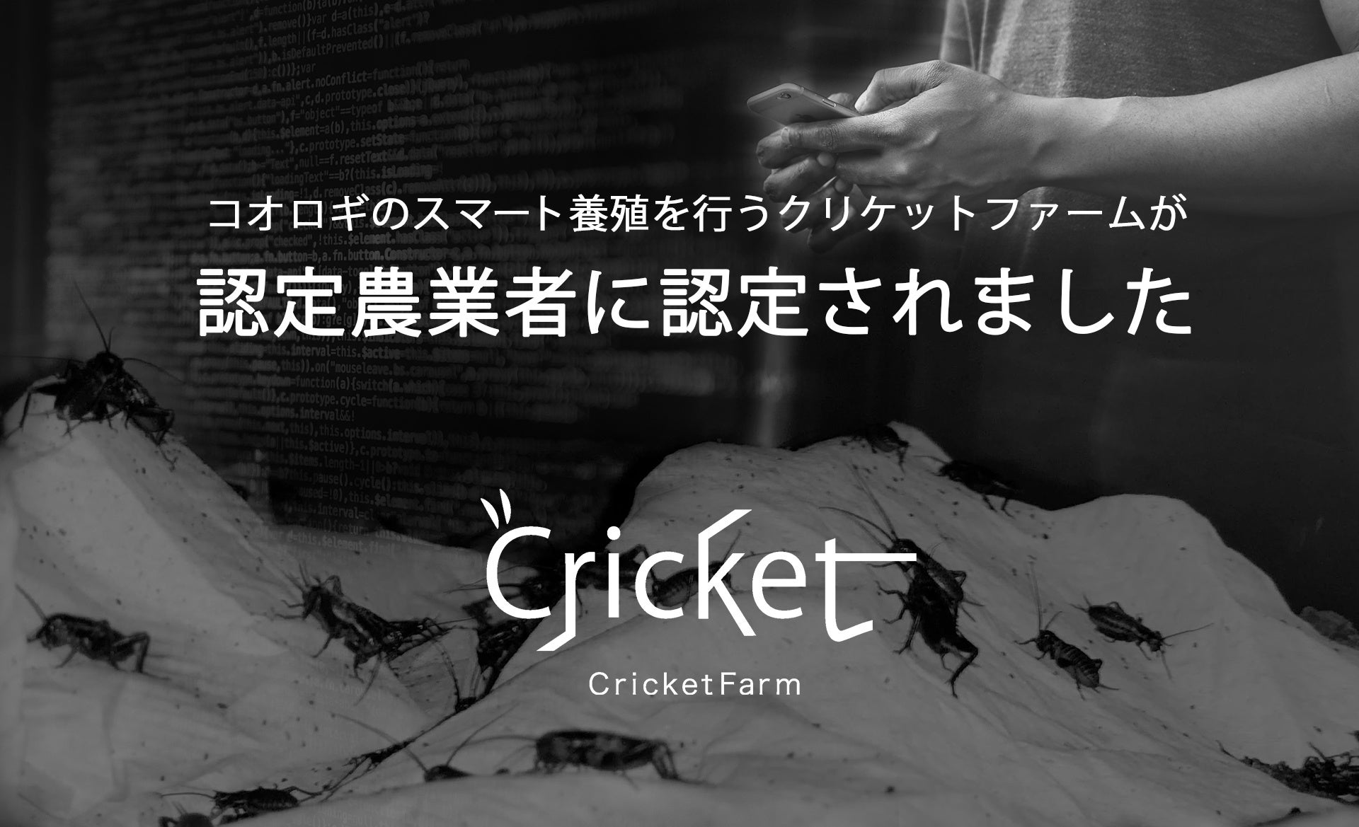 コオロギ養殖のクリケットファームが、長野県茅野市から認定農業者として認定されましたのサブ画像1