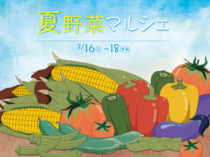 神戸三田プレミアム・アウトレットで地産地消の採れたてを満喫　地元農園の野菜が大集合！「夏野菜マルシェ」初開催のメイン画像