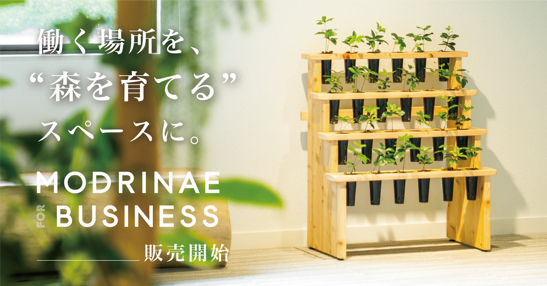 働く場所を森を育てる場所にする、植物インテリア「MODRINAE FOR BUSINESS」販売開始。のサブ画像1