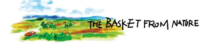 循環型自然農法の野菜「the basket from nature」全国への配送が可能になりました！のメイン画像