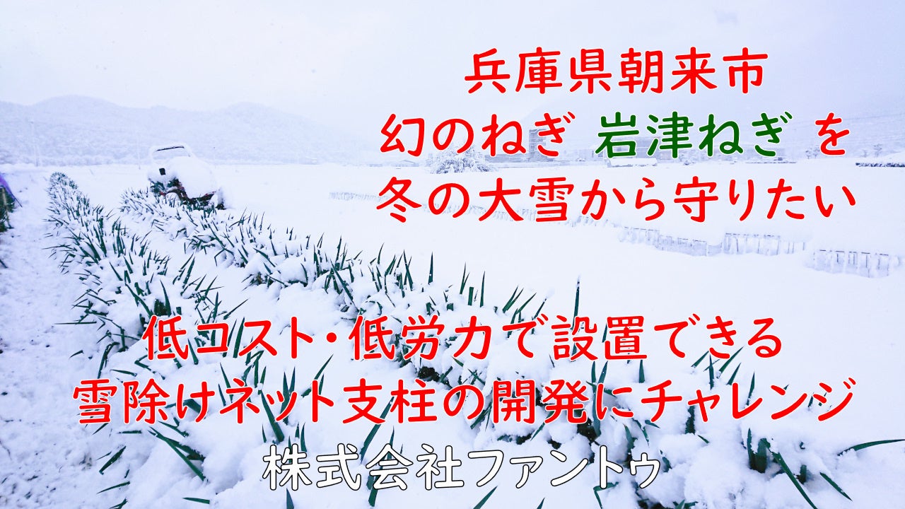 兵庫県の伝統野菜「幻のねぎ　岩津ねぎ」を冬の大雪から守る為に、クラウドファンディングにチャレンジのサブ画像1