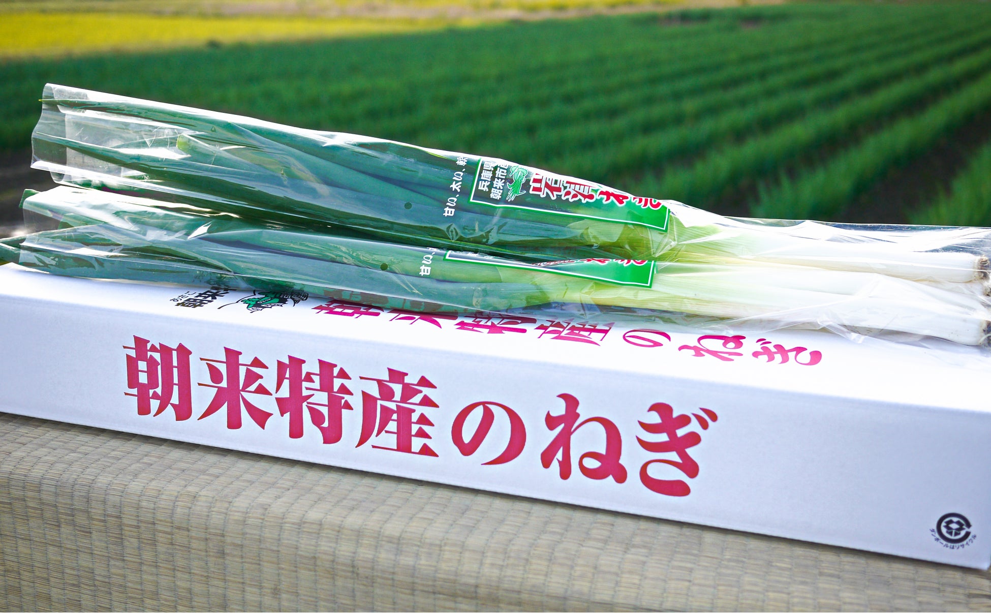 兵庫県の伝統野菜「幻のねぎ　岩津ねぎ」を冬の大雪から守る為に、クラウドファンディングにチャレンジのサブ画像4