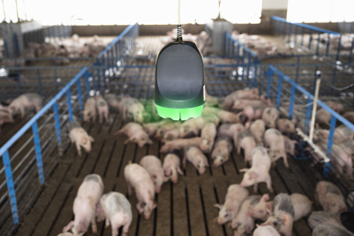 ベーリンガーインゲルハイム アニマルヘルス ジャパン　飼養豚の咳音検知および豚舎環境のモニタリングシステム「SoundTalks™」を全国で発売開始のメイン画像