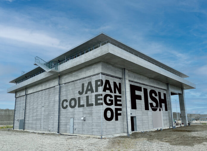 「日本さかな専門学校」2023年4月開校決定。神奈川県私学審議会にて認可承認。のメイン画像