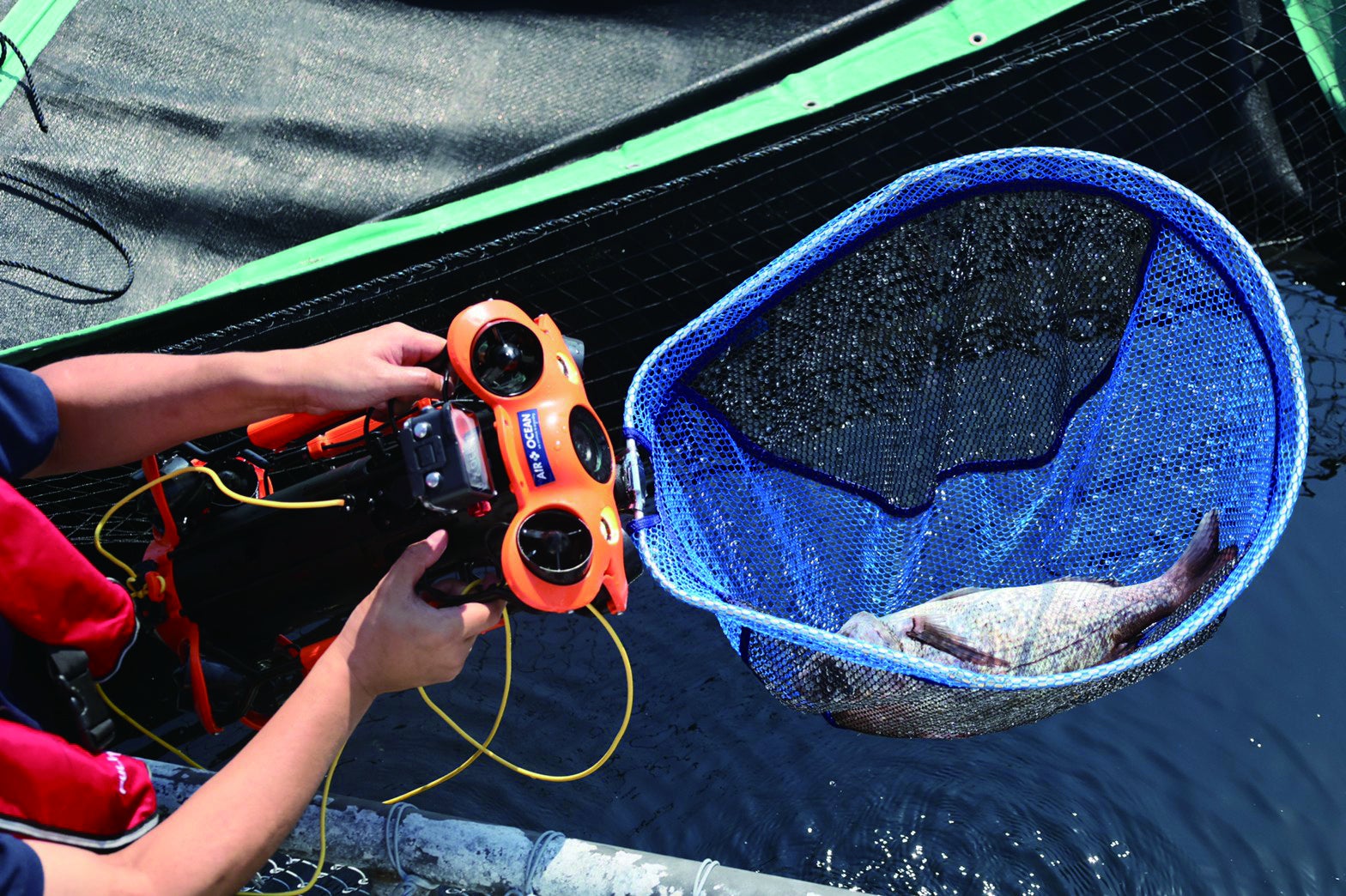 株式会社スペースワン 「第24回ジャパンインターナショナルシーフードショー」に出展。水産事業者向け補助金対象登録機器の”CHASING M2 シリーズ”の実機展示・デモを実施のサブ画像6_死魚回収時