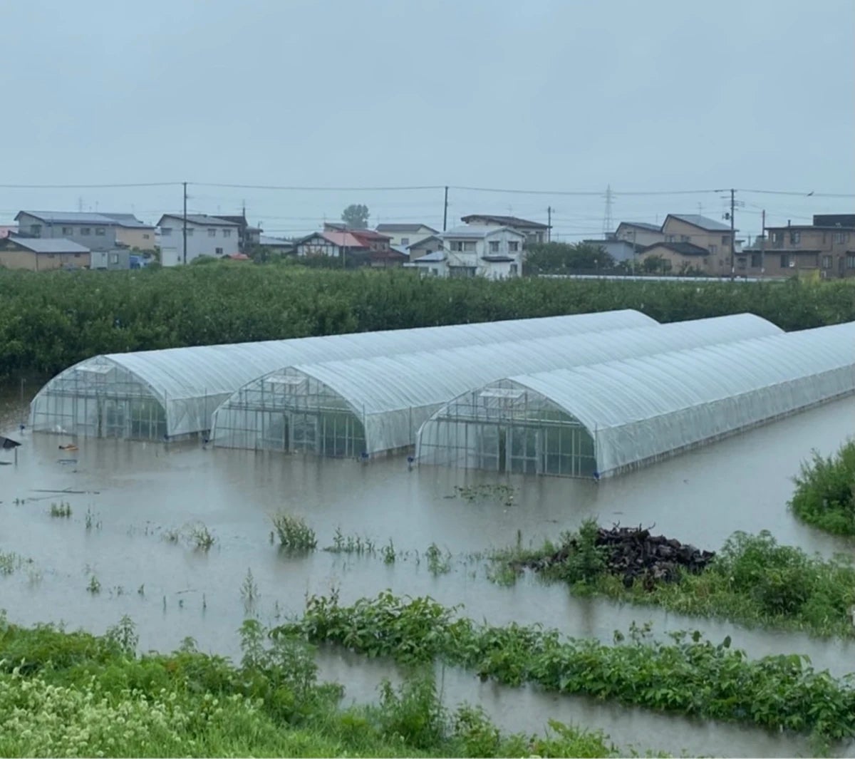 2022年8月の豪雨・台風8号の被害を受け、ポケットマルシェが被災生産者を金銭面で支援可能な「応援商品」の販売を開始のサブ画像2