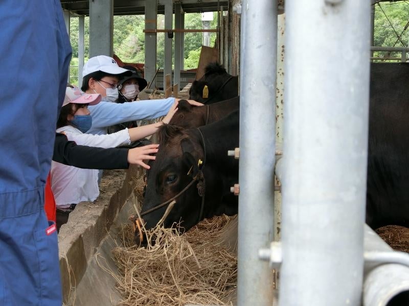 【岡山大学】岡山大学農学部附属山陽圏フィールド科学センター（FSC）ジュニア公開講座「牛について知ろう－牧場で学ぶ畜産－」を開講しましたのサブ画像4