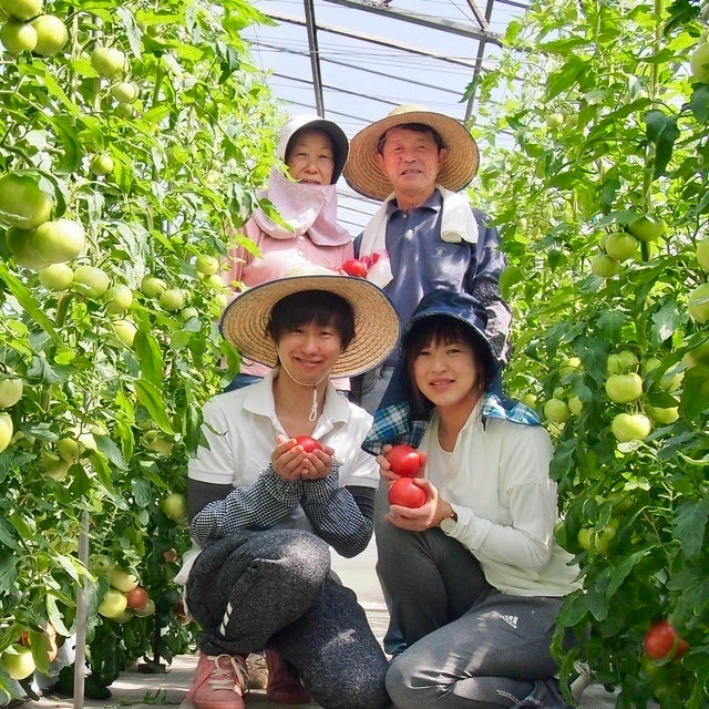 捨てられる野菜をゼロに！『市場に出回らない本当は美味しい規格外トマト』を使用した《トマト糀の無水カレー》で切り開く、熱い農家の未来計画【記者発表会のご案内】のサブ画像3
