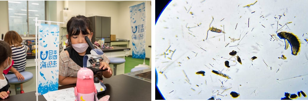 小学生が海釣りを楽しみながら身近な海の環境を学習する「海釣り自然塾〜海と日本プロジェクト〜」を開催しましたのサブ画像3_（左）顕微鏡でさまざまなプランクトンを観察　　（右）顕微鏡ではこんな感じで見えてます