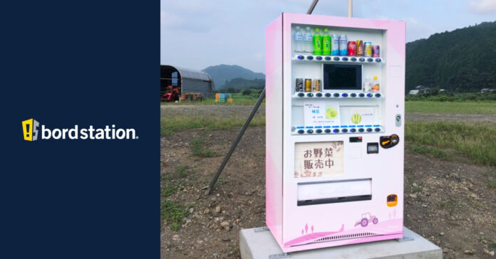 高知県高岡郡四万十町の『GFI農園』、新鮮野菜が購入できる自販機を設置！看板型デザイン自動販売機「ボードステーション」のメイン画像