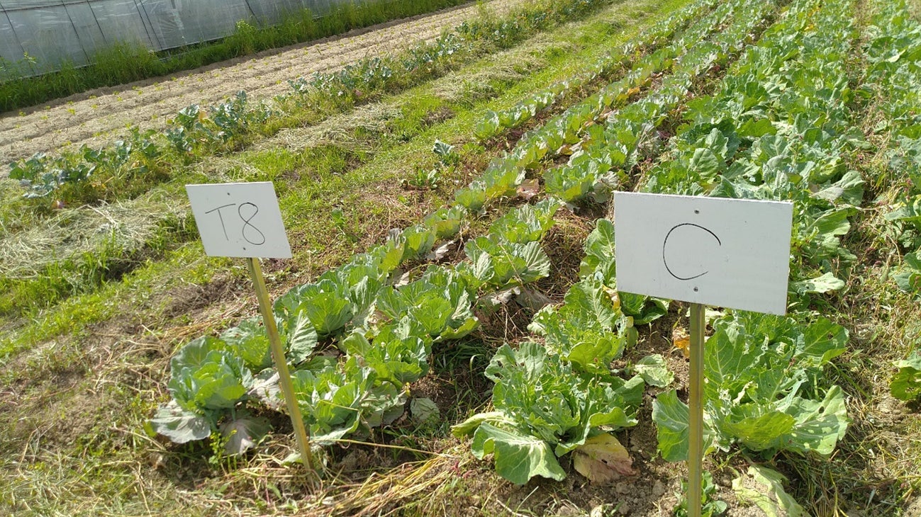福岡の農建産業株式会社が、アフリカ食料増産に提言　のサブ画像3