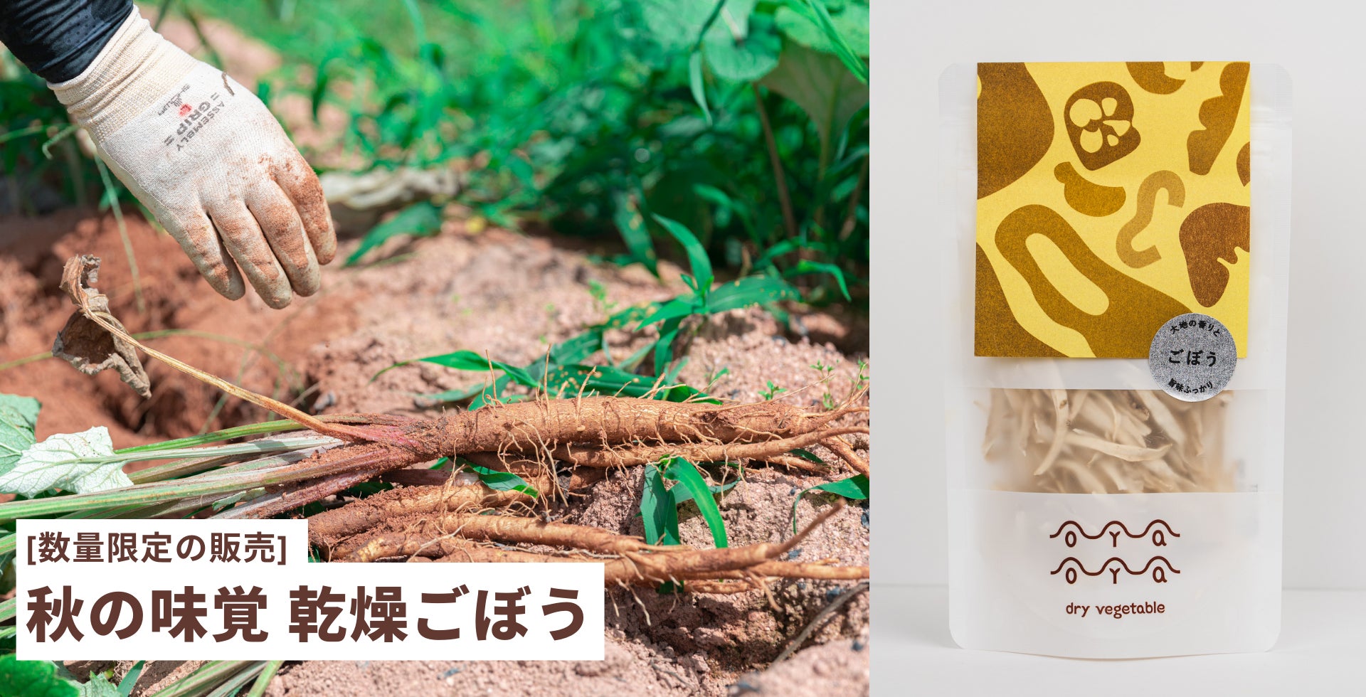 規格外野菜を使った京都発の乾燥野菜ブランド「OYAOYA（おやおや）」が2022年9月に渋谷・有楽町でポップアップを開催！のサブ画像4