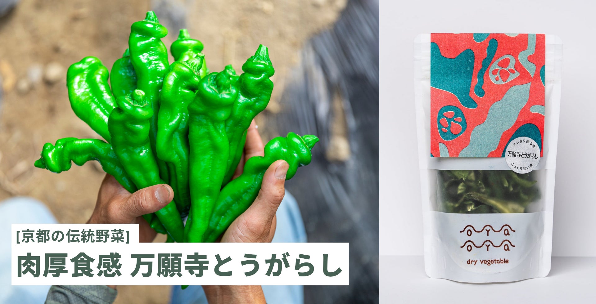 規格外野菜を使った京都発の乾燥野菜ブランド「OYAOYA（おやおや）」が2022年9月に渋谷・有楽町でポップアップを開催！のサブ画像5