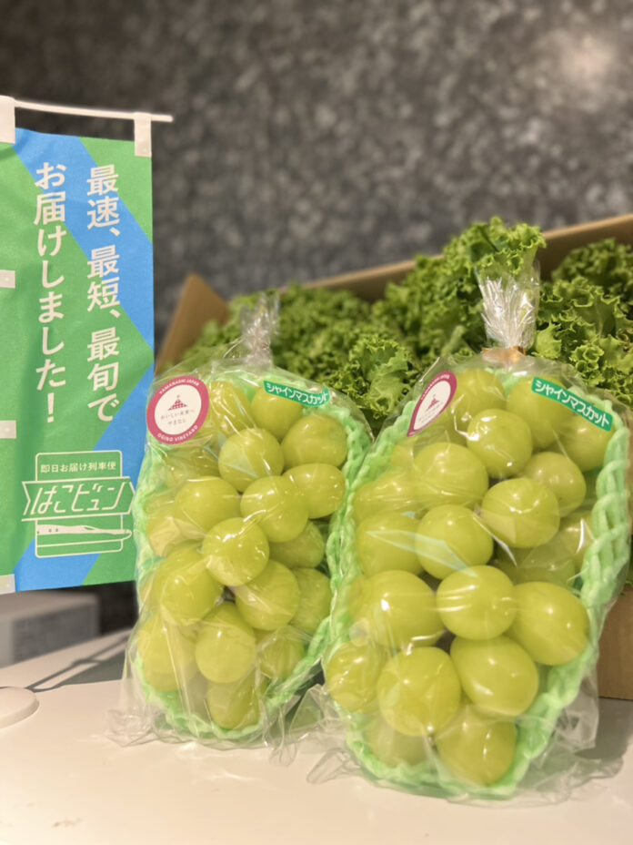 全国各地の朝採れ新鮮農産物を即日、東京など首都圏へ!のメイン画像