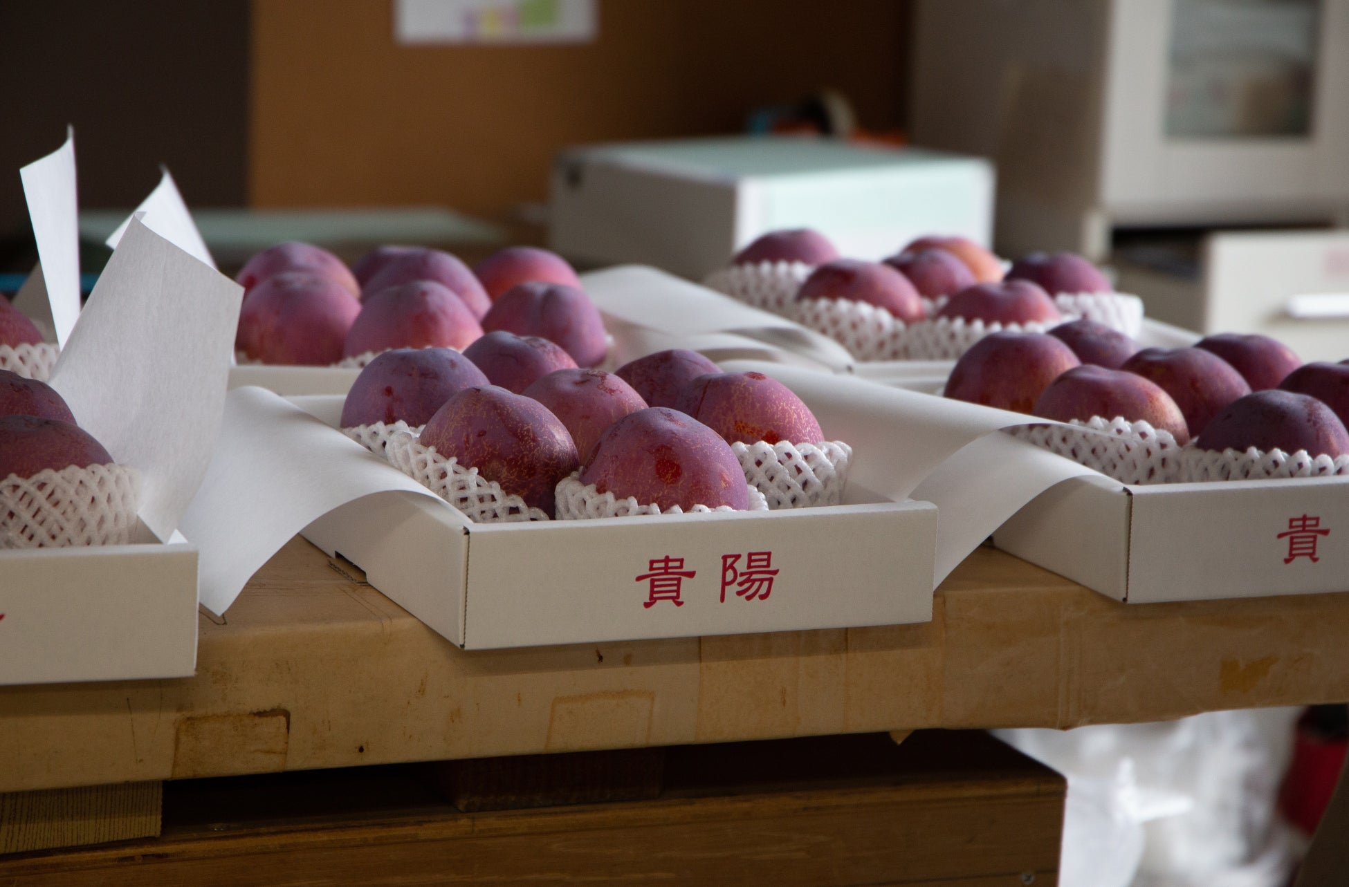 地域の「美味しいのに、知られていない」極完熟の果物を届ける『F STANDプロジェクト』が、山梨県南アルプス市産のシャインマスカットを都内4か所で無人販売のサブ画像4