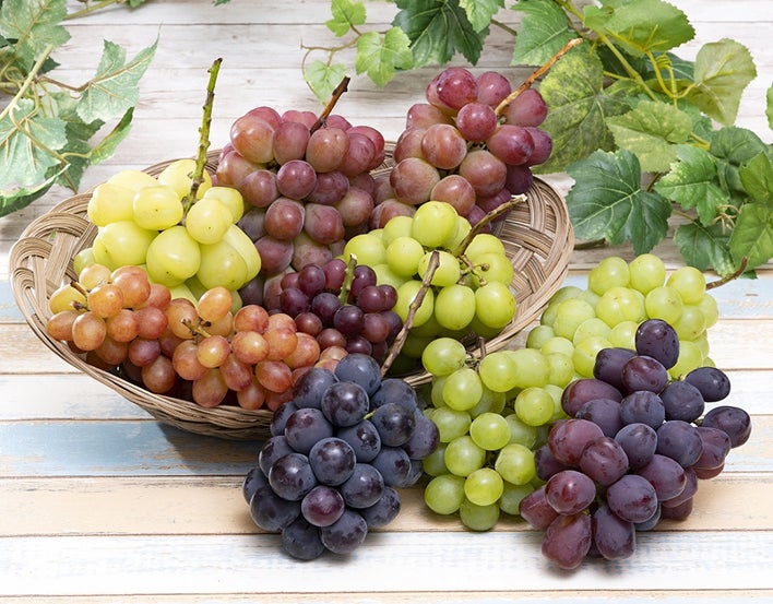 秋を彩る葡萄の魅力をもっと伝えたい！10種類のぶどうを食べ比べできる、市場ならではの特別なお取り寄せ。のサブ画像1