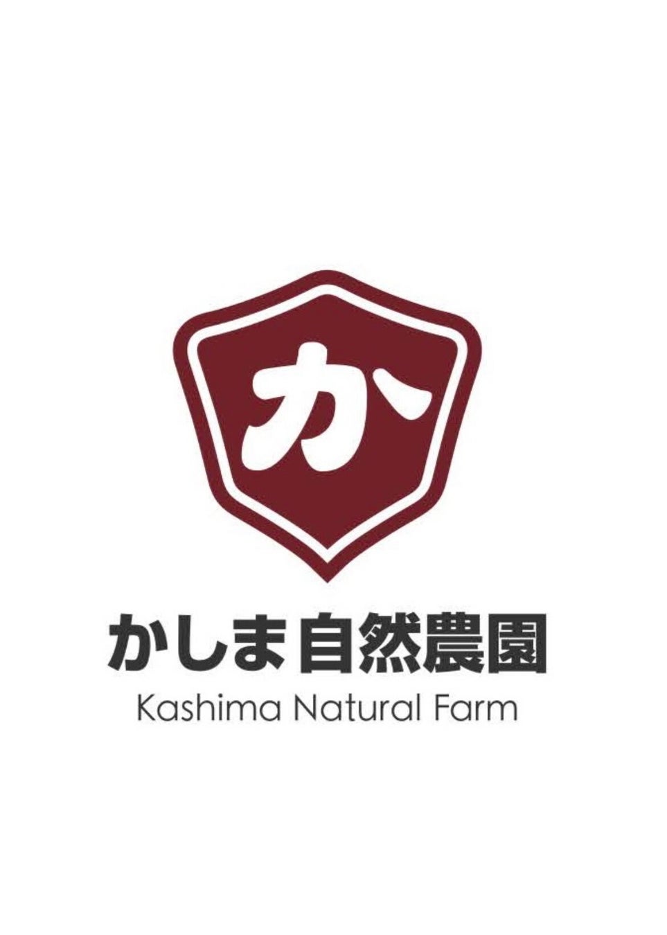 Z世代から日本の食業界でイノベーションを目指すイベント、“Culture Z Food in 九州”の募集開始のサブ画像4
