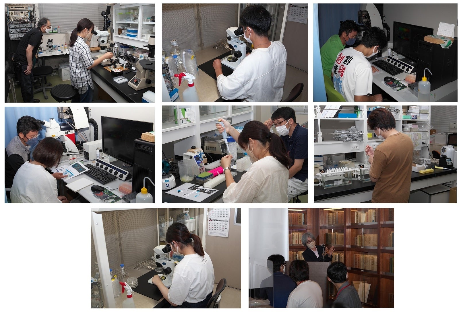 【岡山大学】資源植物科学研究所「第1回大原サマーサイエンスインターンシップ」を9月5日〜8日に開催しましたのサブ画像2