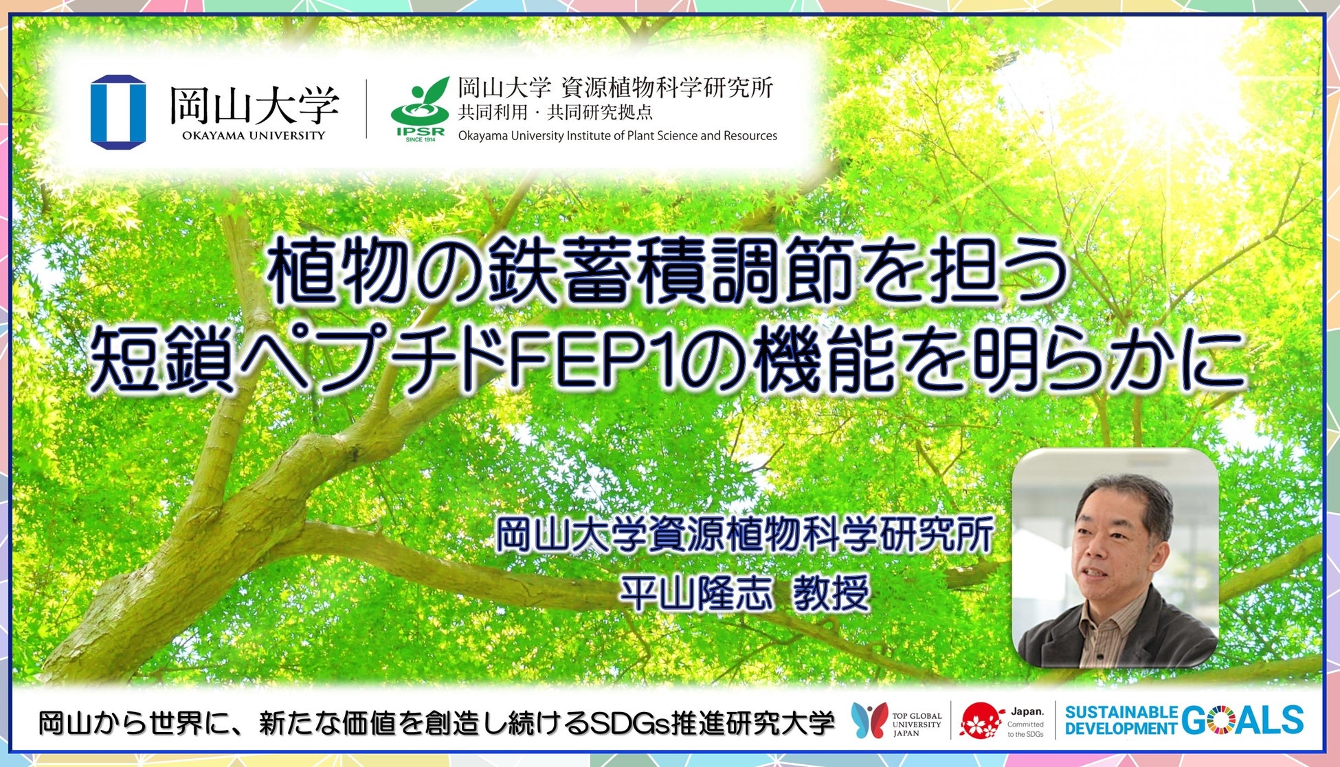 【岡山大学】植物の鉄蓄積調節を担う短鎖ペプチドFEP1の機能を明らかにのサブ画像1