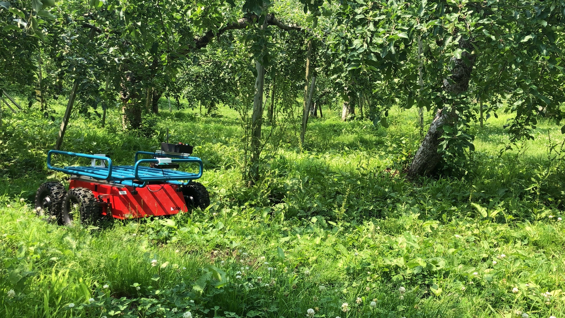 アグリロボットスタートアップの輝翠TECH、第2回ベンチャーラウンドの資金調達を実施のサブ画像4_草木の生い茂る果樹農園内で適用性を確認